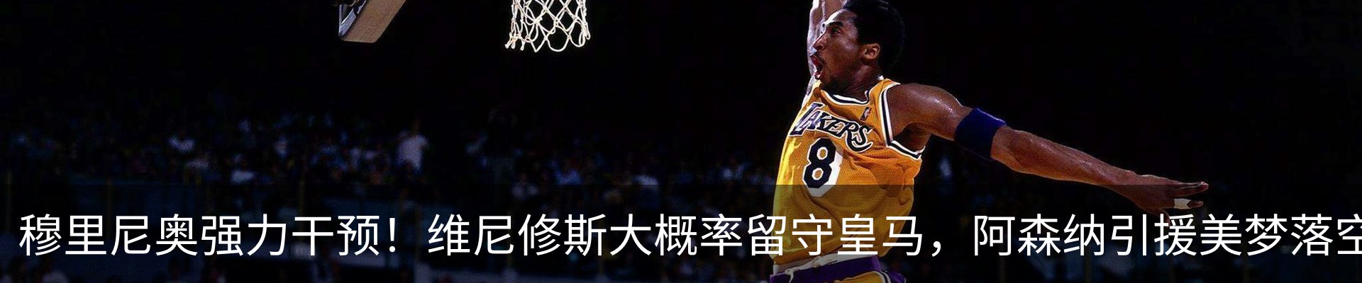 最新动态